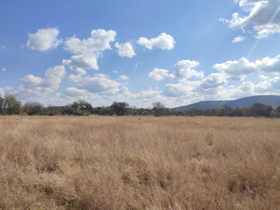 0 Bedroom Property for Sale in Zeerust North West